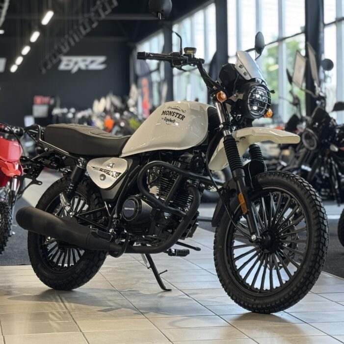 Мотоцикл Regulmoto Monster с ПТС (Белый, 121086-2) img 5048 15 - MotoHacker